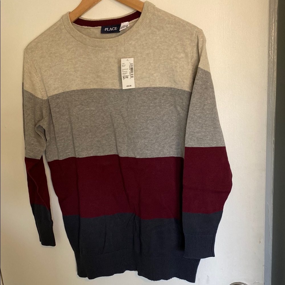 PLACE Men's Multicolor Striped Sweater